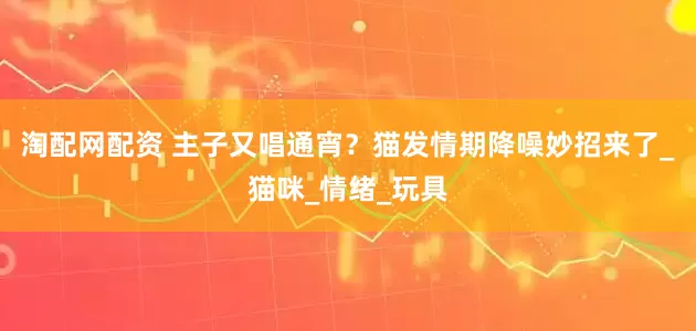 淘配网配资 主子又唱通宵？猫发情期降噪妙招来了_猫咪_情绪_玩具